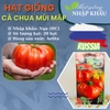 Hạt giống cà chua múi mập. Nhập khẩu Nga. 20 hạt/gói