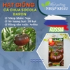 Hạt giống cà chua socola Baron Nga