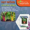 Hạt giống cải cầu vồng