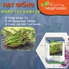 Hạt giống măng tây xanh Us