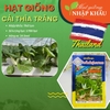 Hạt giống cải thìa trắng pak choi Thái Lan