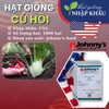 Hạt giống củ hồi Johnny's