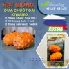 Hạt Giống Dưa Chuột Gai Kiwano. Hàng Nga. 3 Hạt/Gói