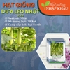 Hạt giống dưa leo nhật vl 103