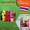 Hạt giống hoa mãn đình hồng kép Thái Lan
