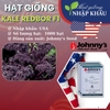 Hạt giống kale redbor Johnny's