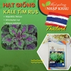 Hạt giống kale tím rus Juijia Thái Lan