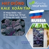 Hạt giống kale xoăn tím Nga