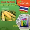 Hạt giống ngô ngọt vàng Thái Lan (Gói 1 kg)