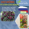 Hạt giống ớt cảnh chili bonsai. Nhập khẩu Nga. 10 hạt/gói