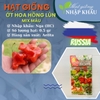 Hạt giống ớt hoa hồng lùn mix màu. Nhập khẩu Nga. 0.5 gr/gói