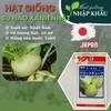 Hạt giống su hào xanh Nhật Bản (Gói 20 ml - 18 gr)