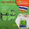 Hạt giống xà lách sồi xanh green bowl Juijia Thái Lan