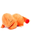 Pokemon Charmander