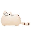 Gấu bông Mèo Pusheen