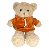 Gấu bông Gấu Teddy Áo Hoodie