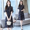 Mã B699: đầm đẹp liền thân voan hè mới dáng xòe