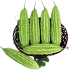 rd-kho-qua-mo-trai-dai-rado-373-2g