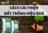 Cách cải thiện đất trồng hiệu quả?