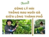 CÙNG LÝ HẢI TRỒNG RAU NUÔI GÀ GIỮA LÒNG THÀNH PHỐ