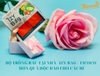 BỘ TRỒNG RAU TẠI NHÀ - MÓN QUÀ ĐỘC ĐÁO VÀ TIỆN ÍCH NHÂN NGÀY QUỐC TẾ THIẾU NHI