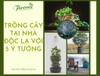 TRỒNG CÂY TẠI NHÀ SIÊU ĐỘC LẠ VỚI 5 Ý TƯỞNG