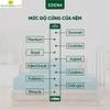 Nệm Cao Su Thiên Nhiên Edena - COOLATEX - Êm Như ý - Mát Mê Ly
