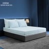 Nệm Cao Su Thiên Nhiên Edena - COOLATEX - Êm Như ý - Mát Mê Ly