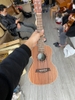 Ukulele Hola! Xuất Khẩu