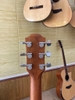 SOL SA - 01Ps CUSTOM 2022