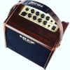 Amplifier Nux SA-25