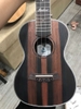 UKULELE ANDREW