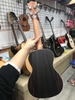 UKULELE ANDREW