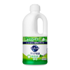 Nước Rửa Chén Kyukyuto Kao 1250ml (Nhiều Hương)