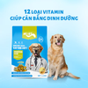 [1.4KG] Hạt Mr Vet D1 cho chó