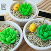 khuon-silicon-sen-da