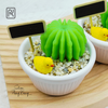 khuon-silicon-xuong-rong