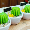 khuon-silicon-xuong-rong