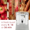 MÁY XỊT THƠM PHÒNG TỰ ĐỘNG HƯƠNG TÁO - GLADE AUTOMATIC SPRAY AIR FRESHENER, AUTUMN SPICED APPLE 1 HOLDER + 3 REFILLS