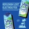 NƯỚC DỪA - VITA COCO COCONUT WATER, 18 CHAI