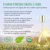 GEL LỘ HỒI GIÚP LÀM DỊU VẾT THƯƠNG - ALODERMA ORGANIC PURE ALOE VERA GEL MADE WITH 96% USDA ORGANIC CERTIFIED ALOE VERA WITHIN 12 HOURS OF HARVEST (200G, 7.0 OZ), SUITABLE FOR ALL SKIN TYPES – NO STICKY RESIDUE – ECO-FRIENDLY
