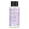 DẦU GỘI - LOVE BEAUTY AND PLANET ARGAN OIL AND LAVENDER SULFATE FREE SHAMPOO 13.5 FL OZ