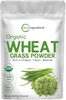 BỘT CỎ LÚA MÌ HỮU CƠ MICRO INGREDIENTS ORGANIC WHEAT GRASS POWDER