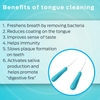 DỤNG CỤ LÀM SẠCH LƯỠI - DRTUNG'S TONGUE CLEANER, STAINLESS STEEL TONGUE SCRAPER (2 CÁI)