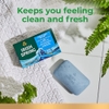 BÁNH XÀ BÔNG TẮM DƯỠNG ẨM DÀNH CHO NAM - IRISH SPRING MOISTURE BLAST BAR SOAP FOR MEN, MOISTURIZING BAR SOAP, 8 THANH