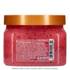 KEM TẨY TẾ BÀO CHẾT & DƯỠNG ẨM CƠ THỂ DƯA HẤU - TREE HUT WATERMELON SHEA SUGAR EXFOLIATING AND HYDRATING BODY SCRUB, 18 OZ