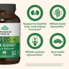 VIÊN UỐNG BỔ SUNG THẢO DƯỢC HỮU CƠ HỖ TRỢ CHỨC NĂNG GAN THẬN - ORGANIC INDIA LIVER KIDNEY HERBAL SUPPLEMENT, 180 VIÊN