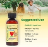 SIRO BỔ SUNG SẮT CHO TRẺ SƠ SINH -  CHILDLIFE ESSENTIALS LIQUID IRON - LIQUID IRON SUPPLEMENTS FOR KIDS,NATURAL BERRY, 4 FL OZ
