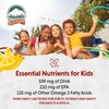SIRO BỔ SUNG OMEGA HỖ TRỢ SỨC KHỎE NÃO & MẮT HƯƠNG VỊ CAM QUÝT CHO BÉ - BARLEAN'S OMEGA PALS LIPSMACKIN' CITRUS FLAVORED OMEGA-3 FOR KIDS, YUMMY CHILDREN'S LIQUID FISH OIL SUPPLEMENT WITH 750 MG OF EPA & DHA FOR BRAIN & EYE HEALTH, 8 OZ