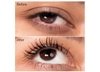 MASCARA VÀ KEM LÓT MI - HONEST BEAUTY EXTREME LENGTH 2-IN-1 MASCARA AND LASH PRIMER WITH JOJOBA ESTERS